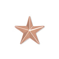 STAR  BRONZE PIN 1/2 INCH