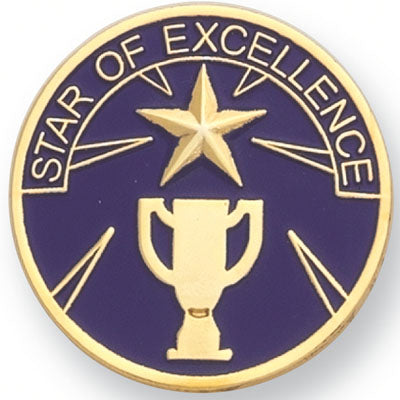 STAR OF EXCELLENCE PIN, 1 INCH