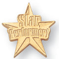 STAR PERFORMER CHENILLE PIN