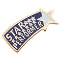 STAR PERFORMER ENAMELED PIN