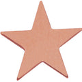 STAR PIN BRONZE 3/4 INCH FLAT