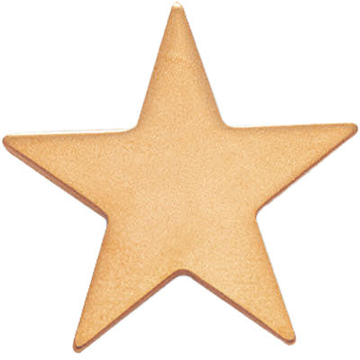 STAR PIN GOLD 1 INCH FLAT