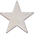 STAR PIN SILVER 1 INCH FLAT