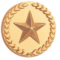 STAR PIN WITH WREATH 7/8 INCH