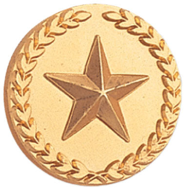 STAR PIN WITH WREATH 7/8 INCH