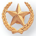 STAR & WREATH PIN 1/2 INCH